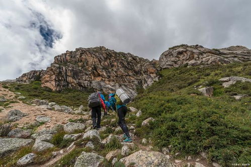 登山我最强城镇叠叠乐下载-登山我最强中文下载手机版v.3.25