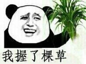 (把你的钱给我把你的车给我然后在)把你的钱给我把你的车给我：一首激情欢快的骗财之歌